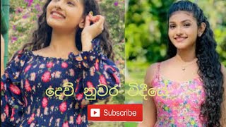 දෙව්නුවර විදීයේ මුන ගැසුනු මොනරියේ😍🥰New Song sinhala 2024