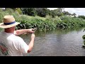 kedron brook tilapia