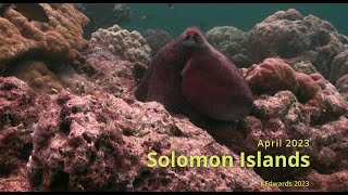 202304 Solomon Islands