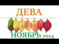 ДЕВА ♍ НОЯБРЬ 2024 🚀 Прогноз на месяц таро расклад 👍Все знаки зодиака! 12 домов гороскопа!