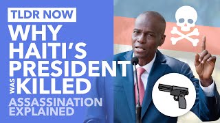 The Assassination of Haiti's President: What We Still Don't Know - TLDR Now