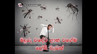 මදුරු වදේට ලාභ වගේම ලේසි වැඩක් / A cheap and easy way to mosquitoes problem with subtitle.