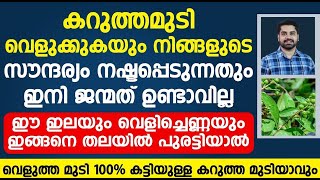 ഈ ഇലയും വെളിച്ചെണ്ണയും ഇങ്ങനെ പുരട്ടിയാൽ ഏത് കറുത്ത മുടിയും വെളുക്കും|hair fall malayalam