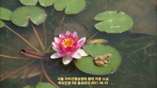 육조단경 제09강 음성강의(17.06.15) 【서울 자비선 명상센터 | 자비선사 | 지운스님】