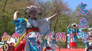 向町さんさ踊り in 龍泉洞まつり　2019岩手県岩泉町