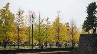 レイン 雨上がりの風景