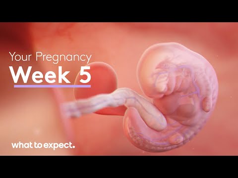 What will the date be in 5 weeks?