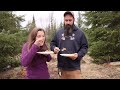 harvesting sap from alaskan birch trees