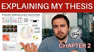 Explaining my thesis - Differences in in vitro cultured endothelial cells