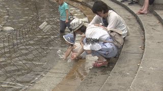 【HTBニュース】観測史上最高の最低気温　札幌は３日連続熱帯夜か