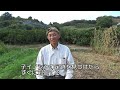 【自然農】猪被害！この足跡に要注意！　2023年9月23日【natural farming】