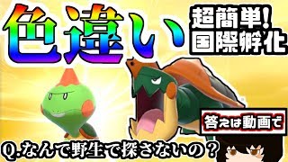 王道の国際孵化！色違いカムカメゲットだぜ【ポケモン剣盾】【ゆっくり実況】