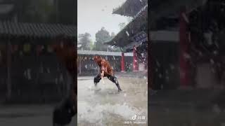 少林寺武僧行雲流水「#武術」