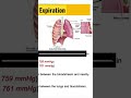 What is the Respiratory Cycle and What are the Mechanics of Expiration? Breathing Demystified!