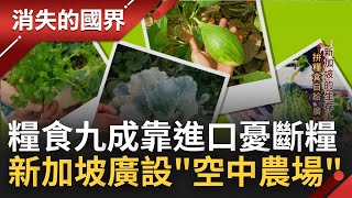 新加坡九成食物靠進口! 俄烏戰爭釀糧食供給斷鏈 政府推