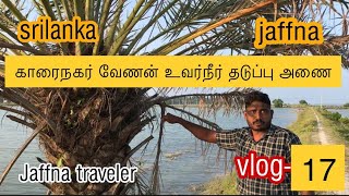 Jaffna karainagar venan dam | காரைநகர் வேணன் உவர்நீர்த் தடுப்பணை |JAFFNA TRAVELER | vlog-17