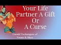 Karmic relationship & Partner from Past life in Birth chart# Secrets from dynamic jyotish Course