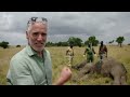 Elephants rescued by helicopter 🐘🚁 - Equator from the Air - BBC