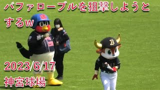 つば九郎、バファローブルくんを狙撃しようとするw