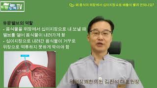 밥 때가 되도 배가 전혀 고프지 않아요 - 무공복감