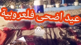 مشينا ندوزو العيد فلعروبية 😊☘️🐏🐥 #voyage