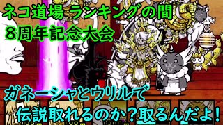 #612 ネコ道場 ランキングの間：8周年記念大会・ガネーシャだけ使用して伝説目指してみる