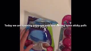 Unboxing poppops pets!