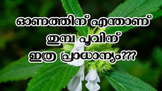 #thumba poovinte pradhanyam#എന്തുകൊണ്ടാണ് ഓണത്തിന് തുമ്പപൂ ഇടുന്നത്#what is the importance of Thumba