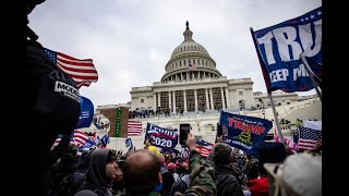 Transition 2021 Series: Domestic Terrorism Post-Insurrection
