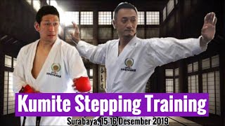 Stepping in Kumite with Takashi Yamaguchi Sensei and Shinji Nagaki Sensei from JKS