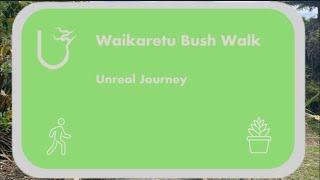 Waikaretu Bush Walk