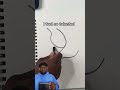 How To Draw A Tree 🌲(with @SuperRaedizzle  ) #shorts