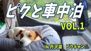 【ピクと車中泊 VOL.1】寄ドックランからの丹沢湖 途中でえらいことに…　ジャックラッセルテリア 🐶