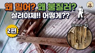 목조주택 흰개미 방역과 방제 보수작업