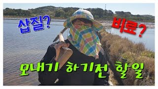 모내기 하기전 할 일은? How to prepare before planting a rice