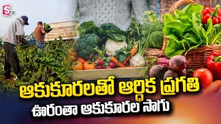 ఆకుకూరలతో ఆర్ధిక ప్రగతి | Vegetables Farming | SumanTV Telugu