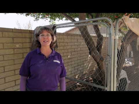 How to Keep the Dogs From Digging & Getting Out of the Pen : Dog Behavior & Training How to Keep the Dogs From Digging & Getting Out of the Pen : Dog Behavior & Training