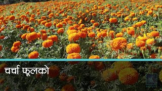 सल्यानमा तिहारले बढायो फूलमालाको बजार । Kantipur Samachar