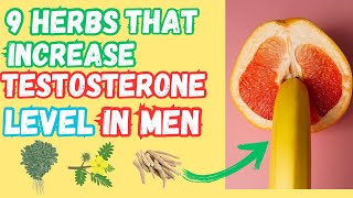 9 Herbs That increase TESTOSTERONE LEVEL IN MEN [2X testosterone]