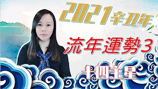 紫微斗數-2021辛丑年流年運勢3-十四主星其他部分解析2021 fleeting fortune-Zi Wei Dou Shu is a branch of Chinese Astrology.