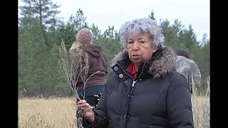 OKIB Language on the Land 2014 - Sage 1