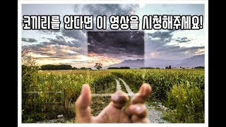 코끼리를 안다면 이 영상을 시청해주세요! (프레임 이론)