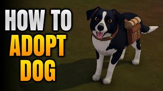 How To Get A Dog In Outbound | How To Adopt Companion Easily