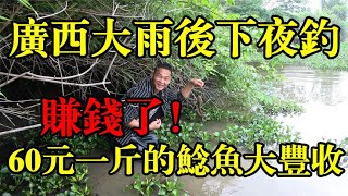 广西大雨之后下夜钓，自动上鱼神器真给力，60元一斤靓货大丰收了【农村阿琪】