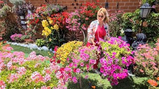 (Abono) variedades de plantas en invierno para  una increíble floración en primavera