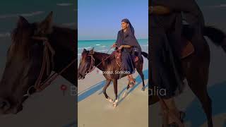 Bosaso is SO beautiful 😍😍 #shorts #somalia #horse