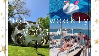 不定期vlog#11|超大泳池别墅趴 |出海🚢|长岛旅行 |长周末bbq | | LongHouse Reserve园林