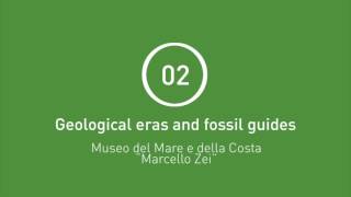 Museo del Mare e della Costa \