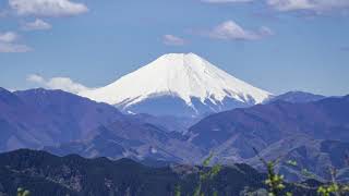 高尾山からの眺め　富士山と桜が綺麗でした。稲荷山コース、一丁平、城山