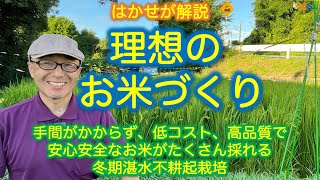 はかせが解説「理想のお米づくり」手間がかからず、低コスト、高品質で、安心安全なお米がたくさん採れる冬期湛水不耕起栽培